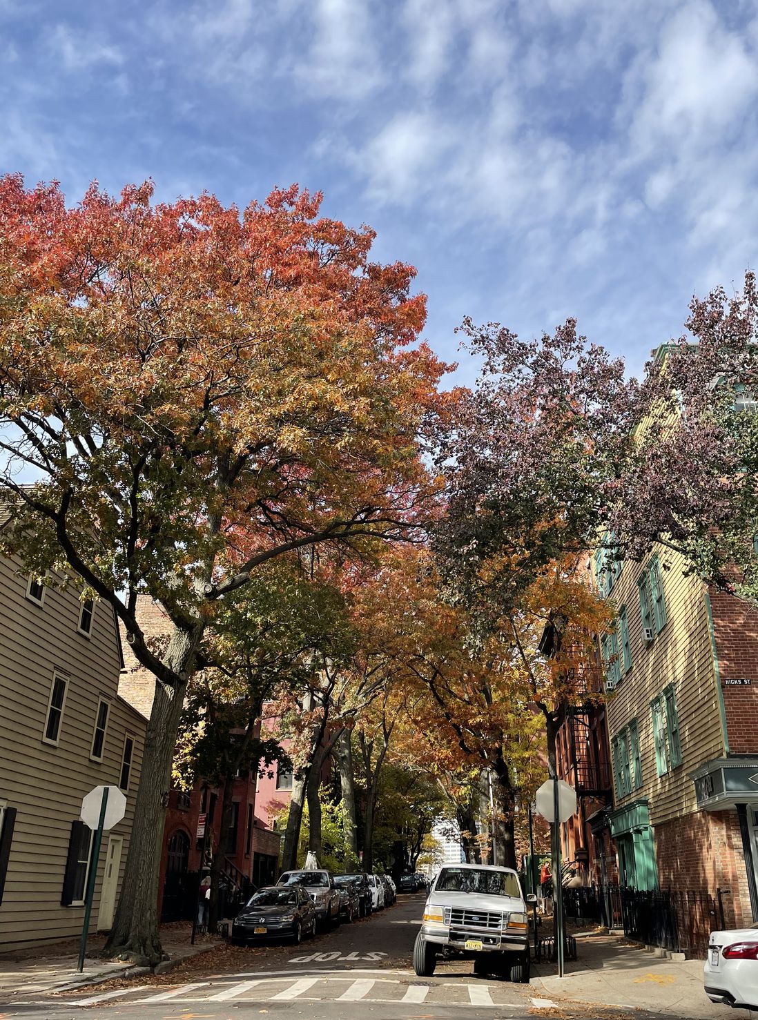 fall foliage in Brooklyn